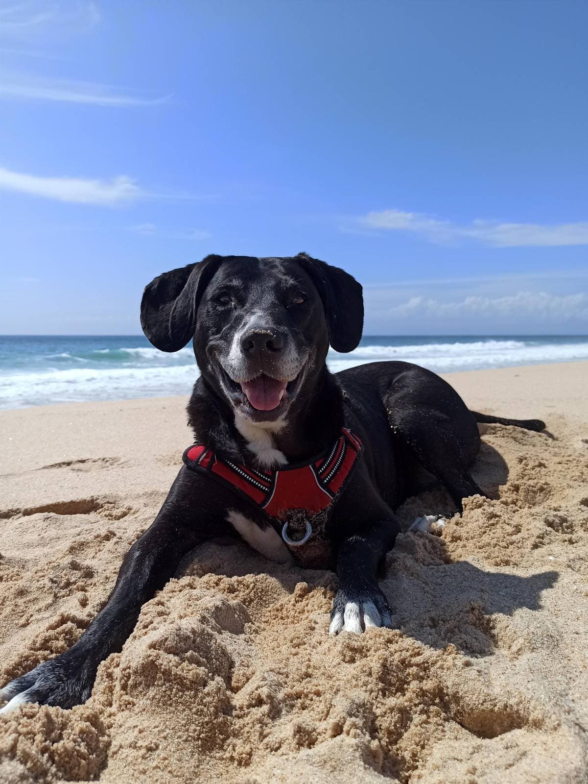 Ruby na praia